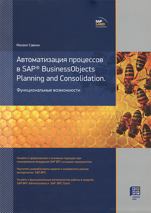 Михаил Савкин Автоматизация процессов в SAP BusinessObjects Planning and Consolidation. Функциональные возможности