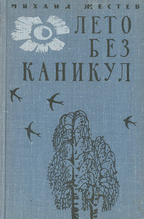 Книга год без покупок книга. Один год без лета книга. Один год без лета книга. Лето с книгой. Первое чтение мне 1 год.