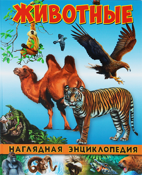 Animals books. Энциклопедия животных. Энциклопедия животный мир. Книги о животных.