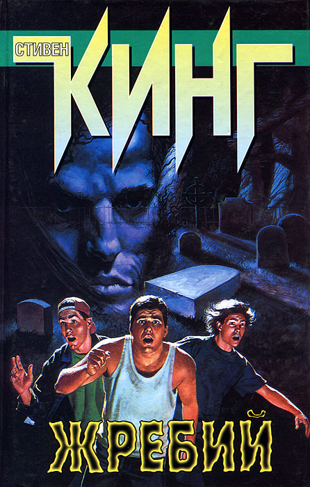 Книга "Жребий" Кинг Стивен – купить книгу ISBN 985-13-6412-6 с быстрой ...