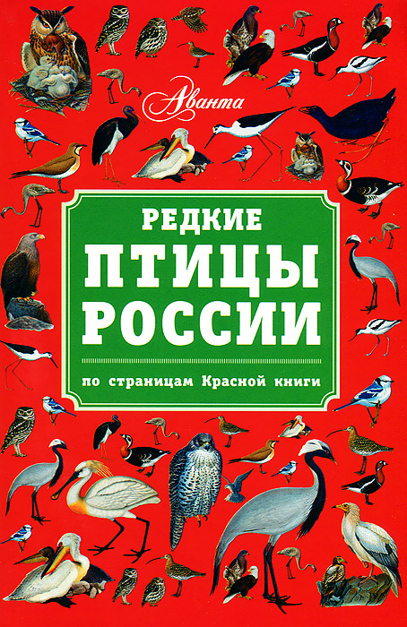 Книга Красная книга Птицы России Оксана Скалдина - купить, читать онлайн отзывы