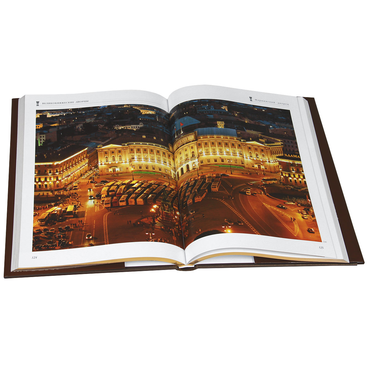 фото Дворцы Санкт-Петербурга (подарочное издание)