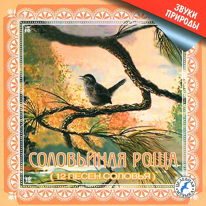 Романсы слушать соловей. День соловья. Соловей в роще. Соловьиный край Курск. День соловья в детском саду.