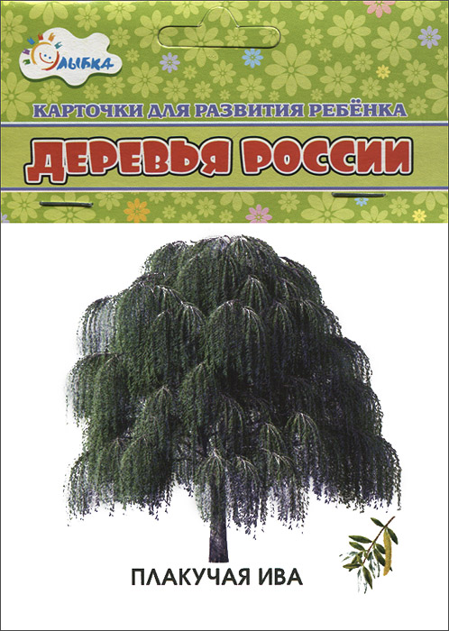 фото Деревья России (набор из 12 карточек)