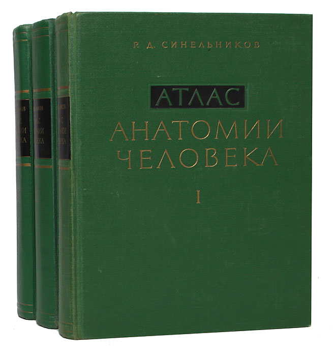 Учебник синельникова по анатомии. Атлас анатомии человека р.д Синельникова в 4 томах. Атлас анатомии человека Синельников 1 том. Атлас анатомии человека Синельников 1989 в 2 томах. Атлас 1963 Синельников.