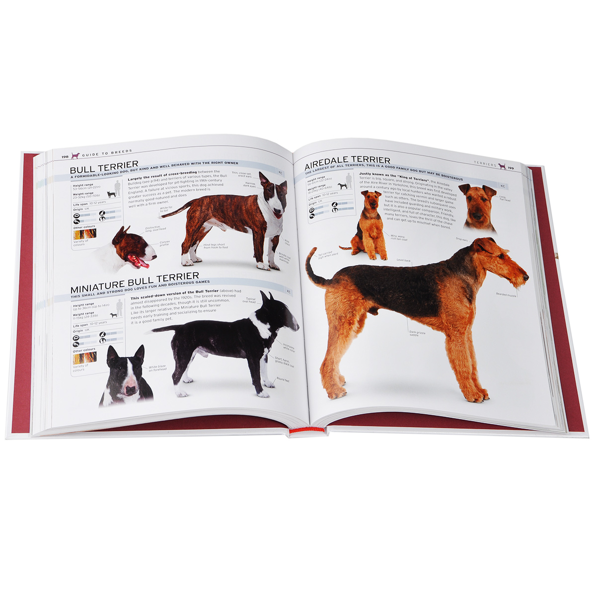 фото The Complete Dog Breed Дорлинг киндерсли