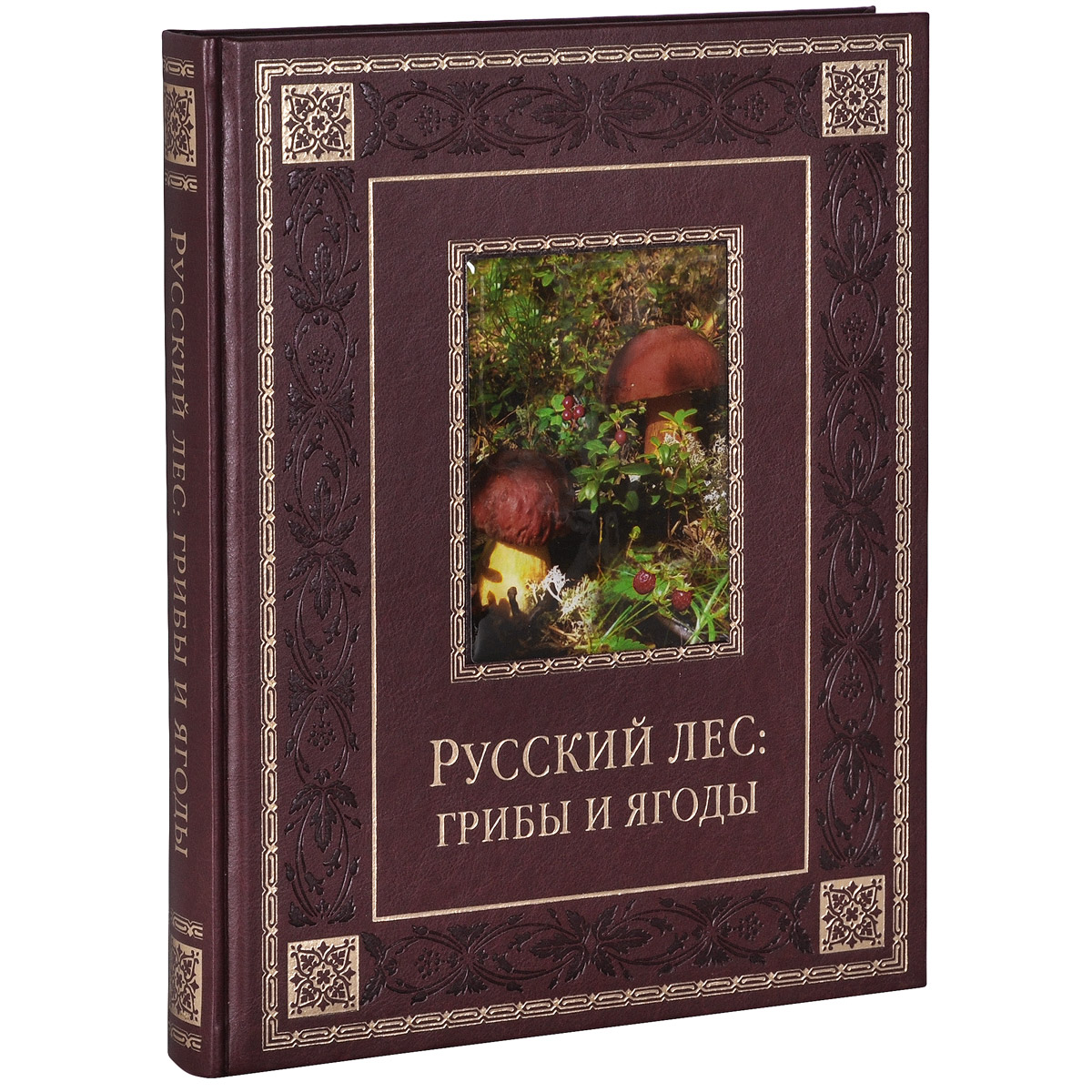 Лес грибы и лесные ягоды. Русский лес грибы и ягоды книга Бутромеев. Книга подарочная про грибы. Русский лес грибы и ягоды подарочная книга в коже. Русский травник Бутромеев.