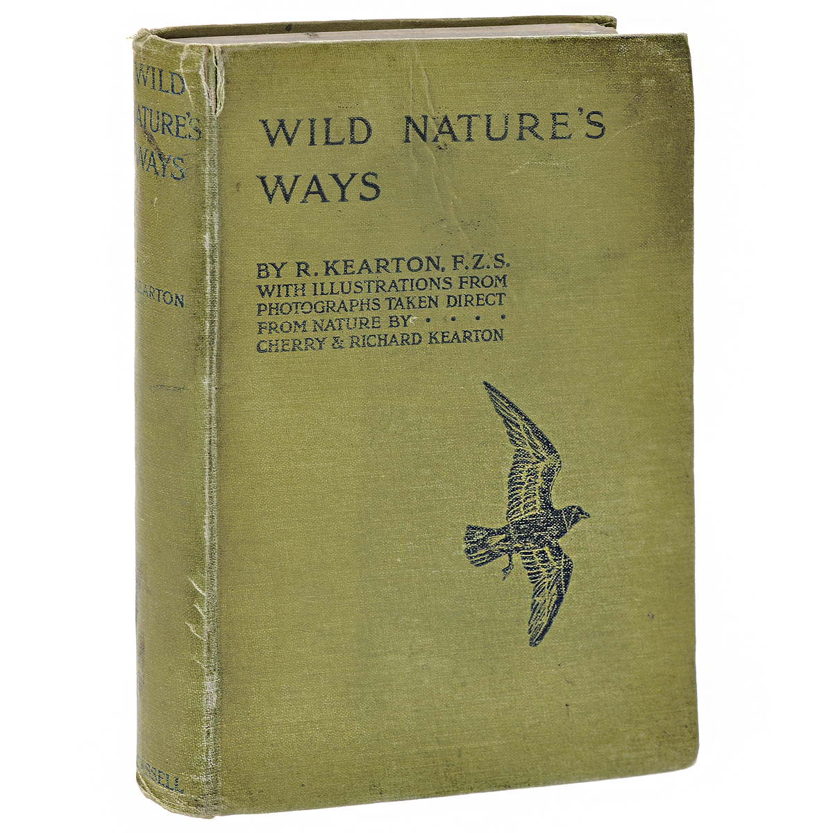 Wild отзывы. Kit's Wilderness книга. Cherry Kearton.