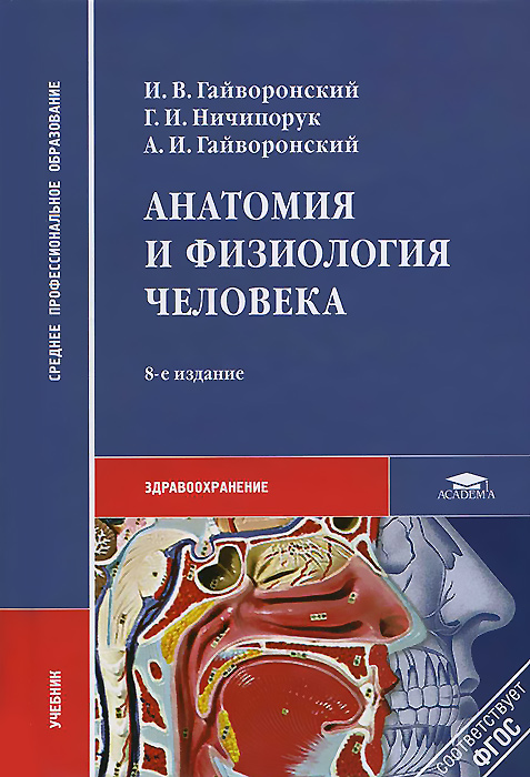 Анатомия и физиология человека проект