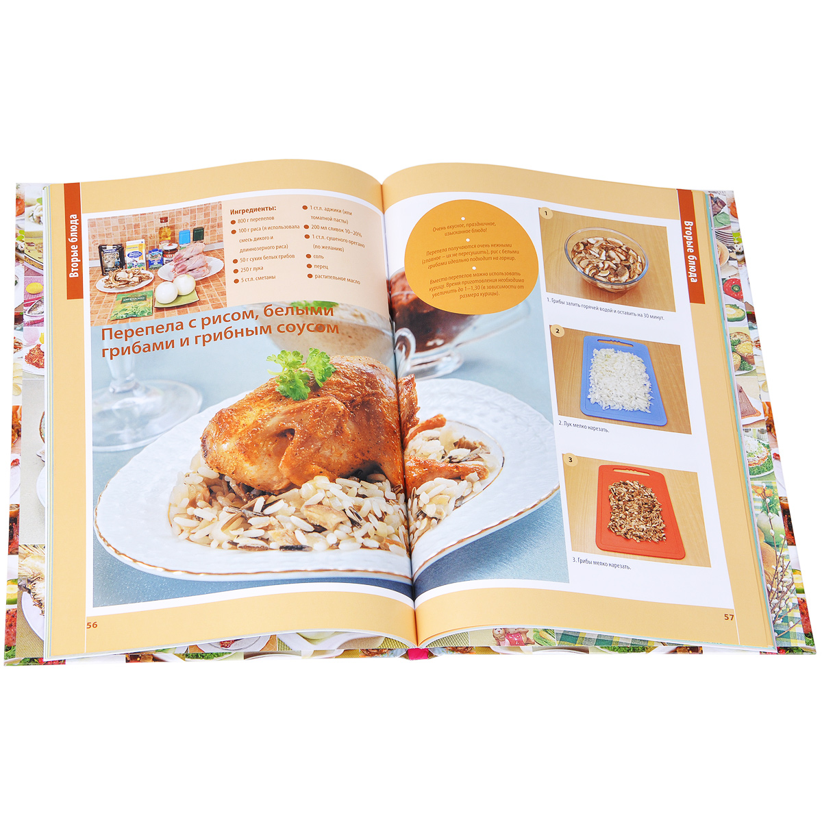 Купить Книги Анастасии Скрипкиной