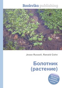 Болотник книга 1 том 1. Болотник книга. Панченко болотник читать полностью без сокращений.