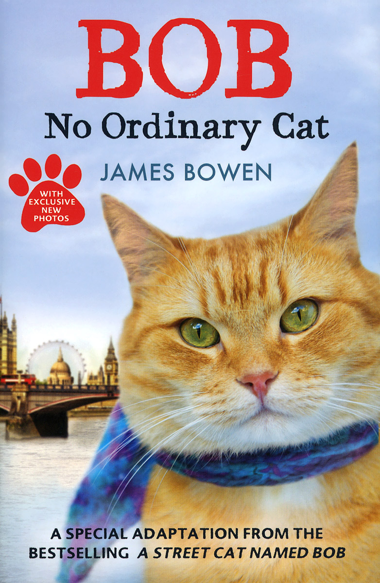 фото Bob: No Ordinary Cat Hodder