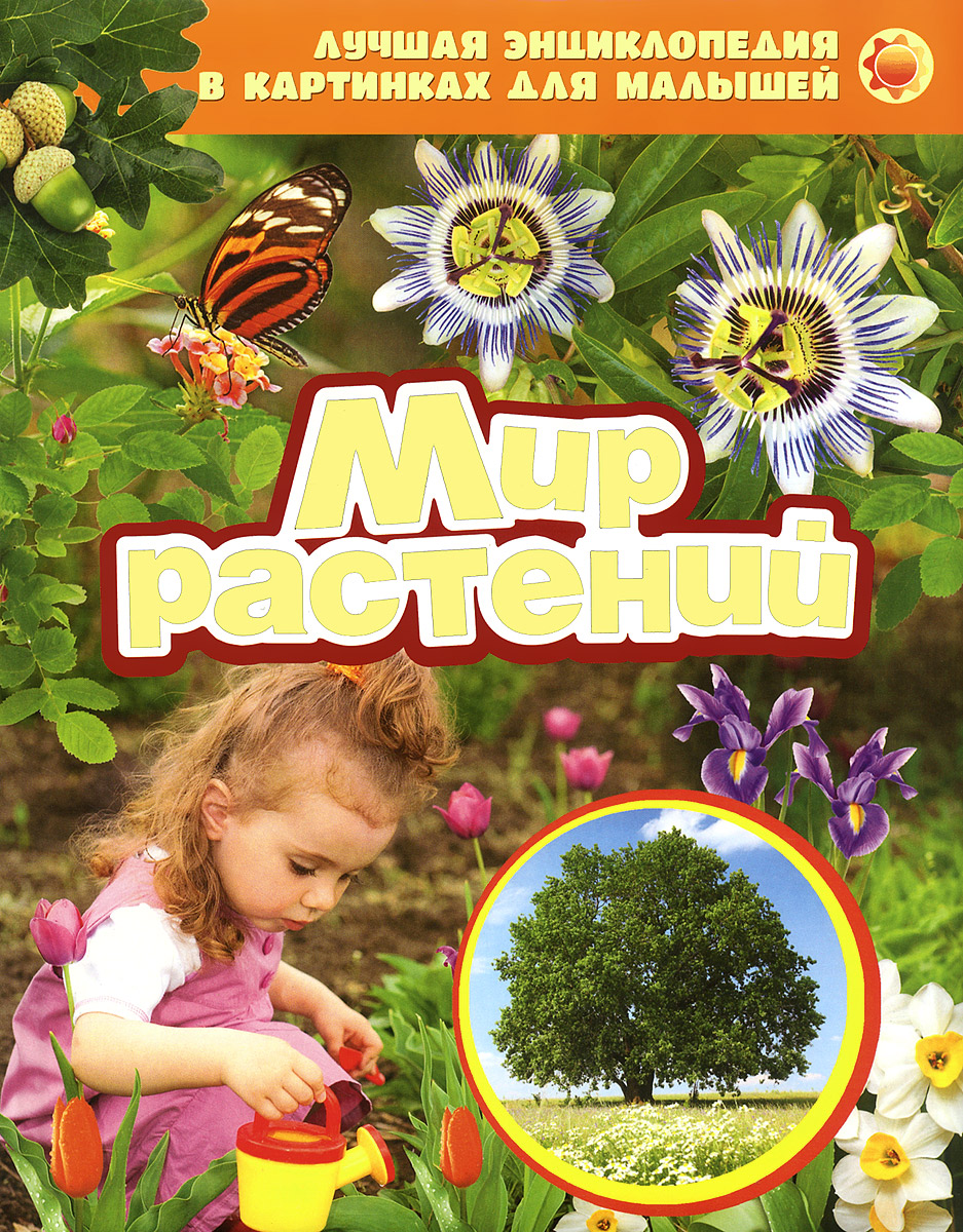Растения. Книги о растениях для детей. Энциклопедия для малышей. Мир растений том 4. Мир растений том 4.