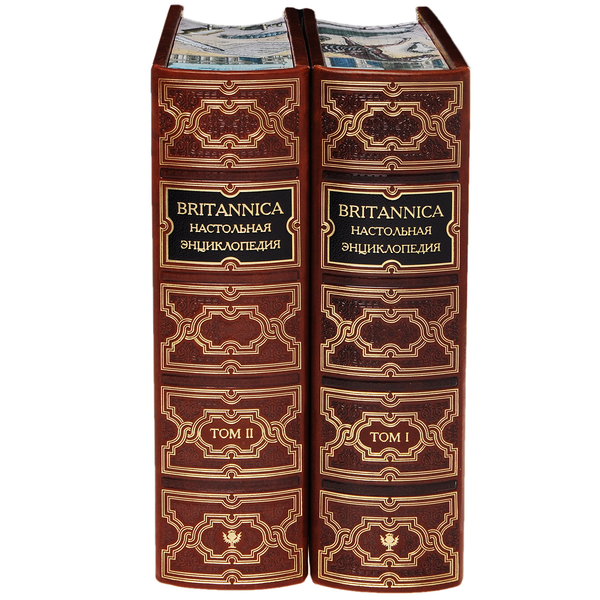 фото Britannica. Настольная энциклопедия. В 2 томах (эксклюзивный подарочный комплект из 2 книг)