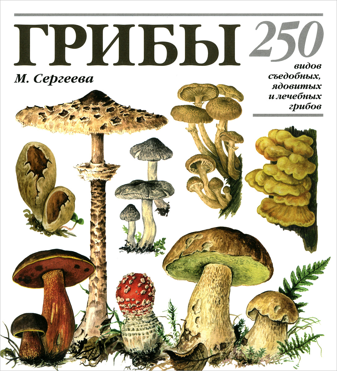Лидия Гарибова грибы 250 видов съедобных ядовитых и лечебных грибов