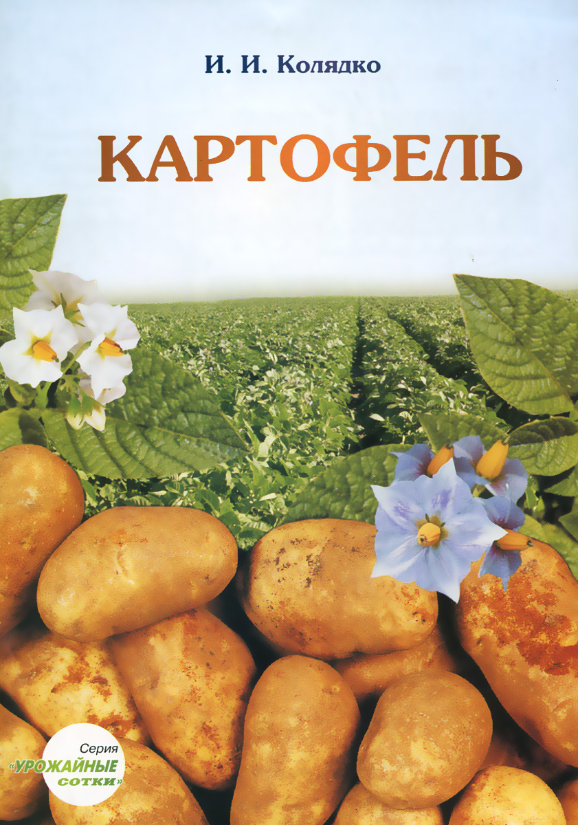 Картофель