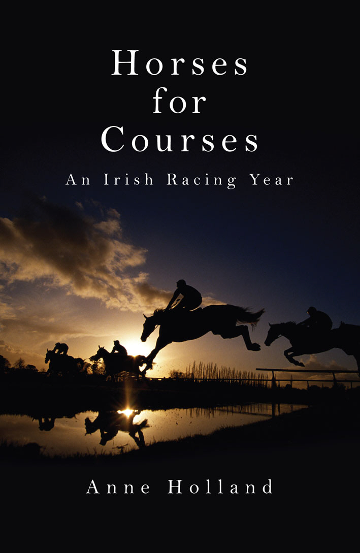 Horses for courses. Hot for Horses книга. Anne Holland.