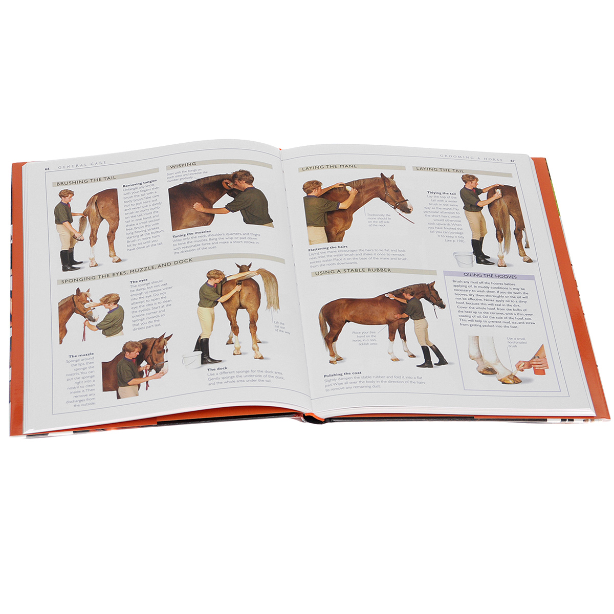 фото Complete Horse Care Manual Дорлинг киндерсли