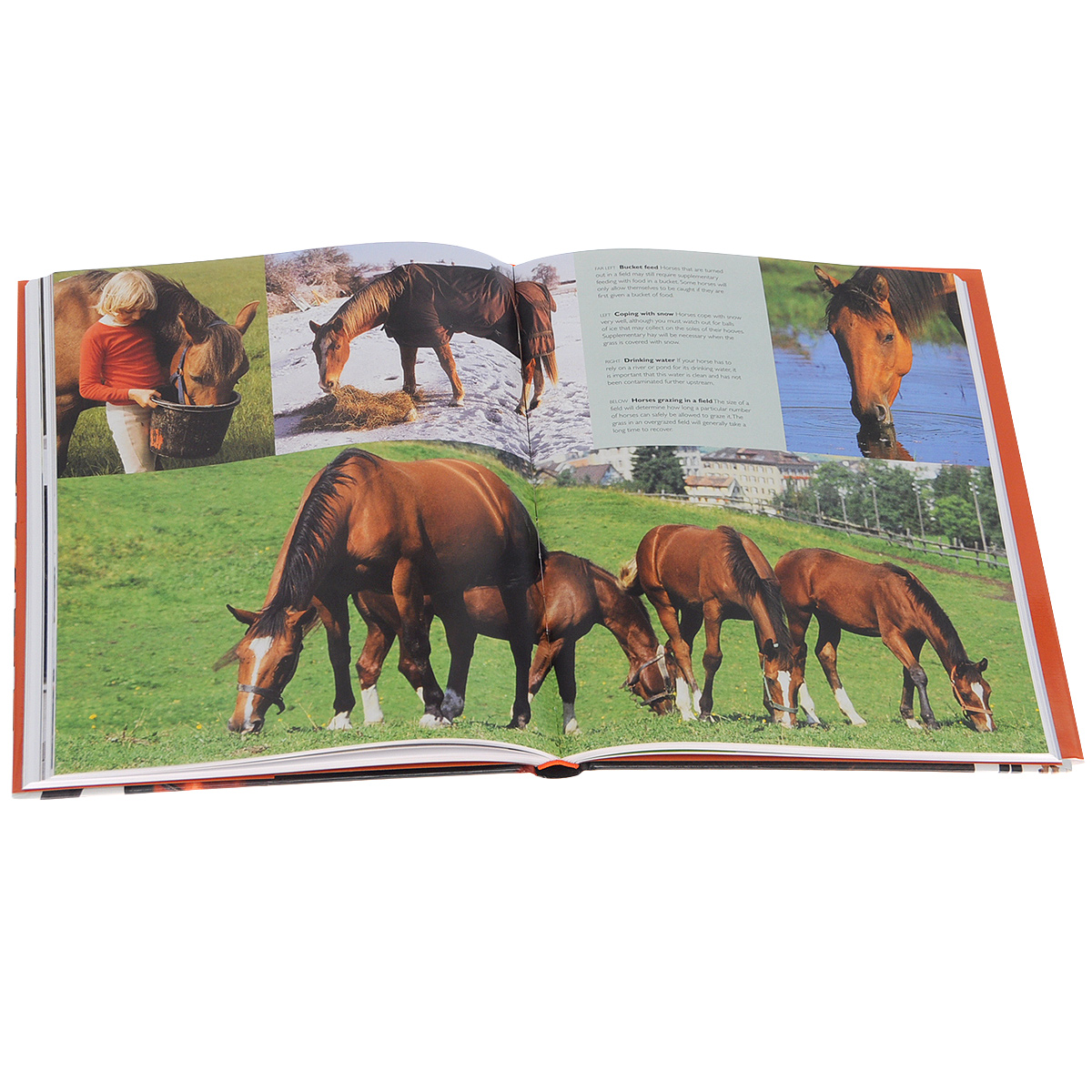 фото Complete Horse Care Manual Дорлинг киндерсли