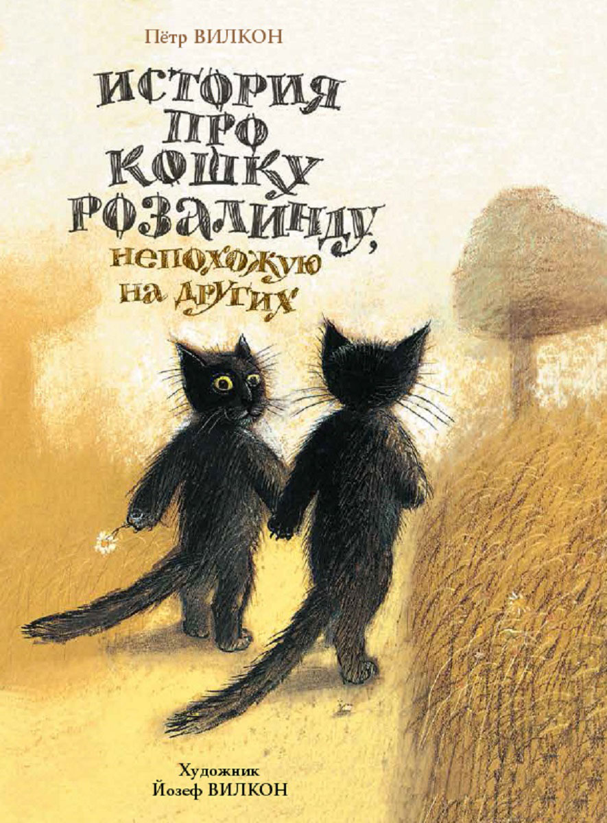 Рассказ про кота