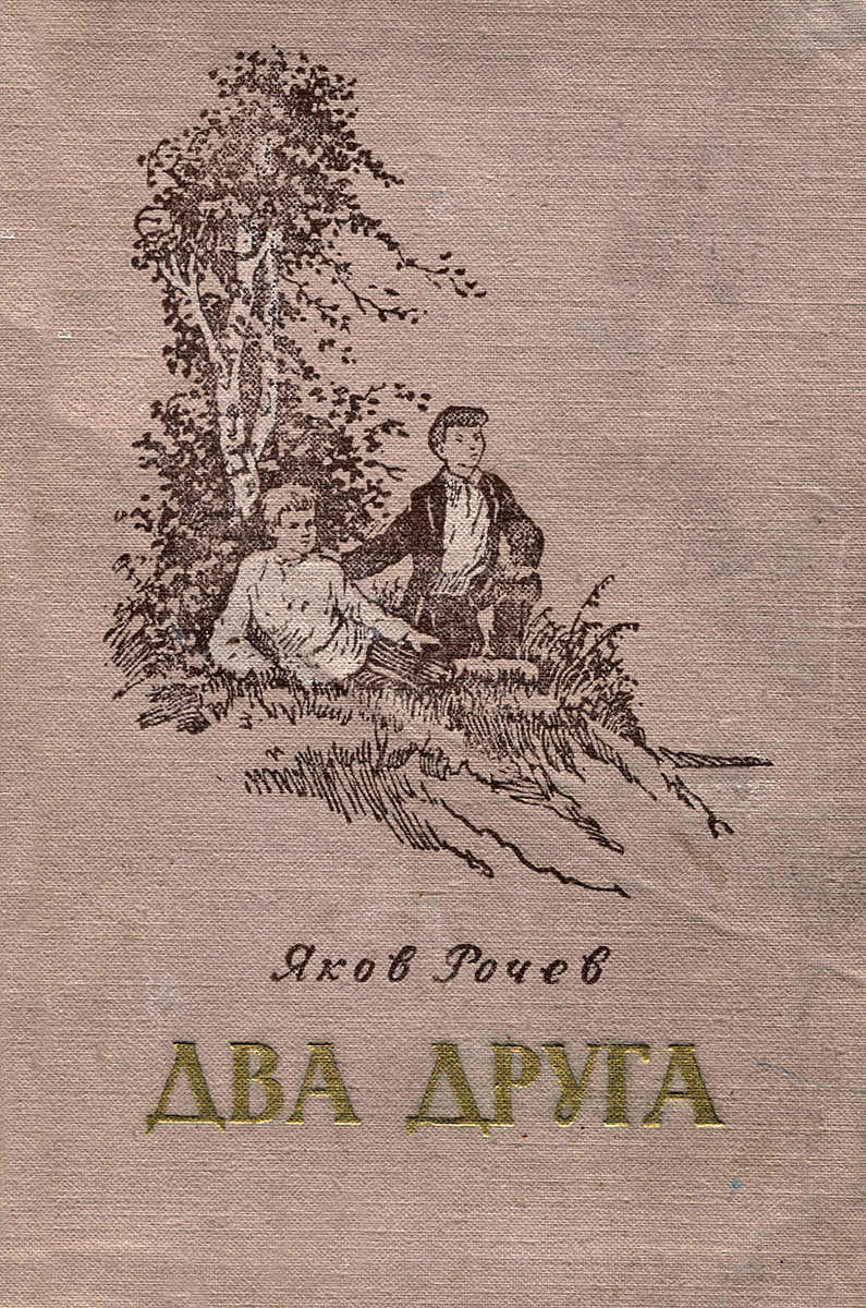 Два друга книга. Книга два друга. Рочев два друга. Два приятеля книга. Две книжки друзья.