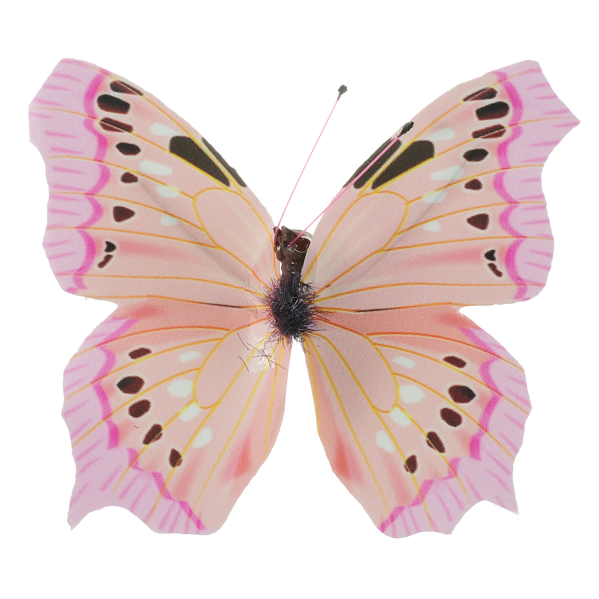Белая розовая бабочка. Розовые бабочки. Бабочки на белом фоне. Розовые бабочки на белом фоне. Разноцветные бабочки на белом фоне.