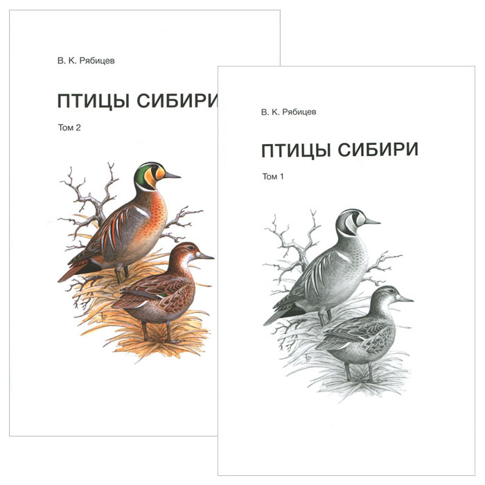 Птица Сибири Фото И Описание