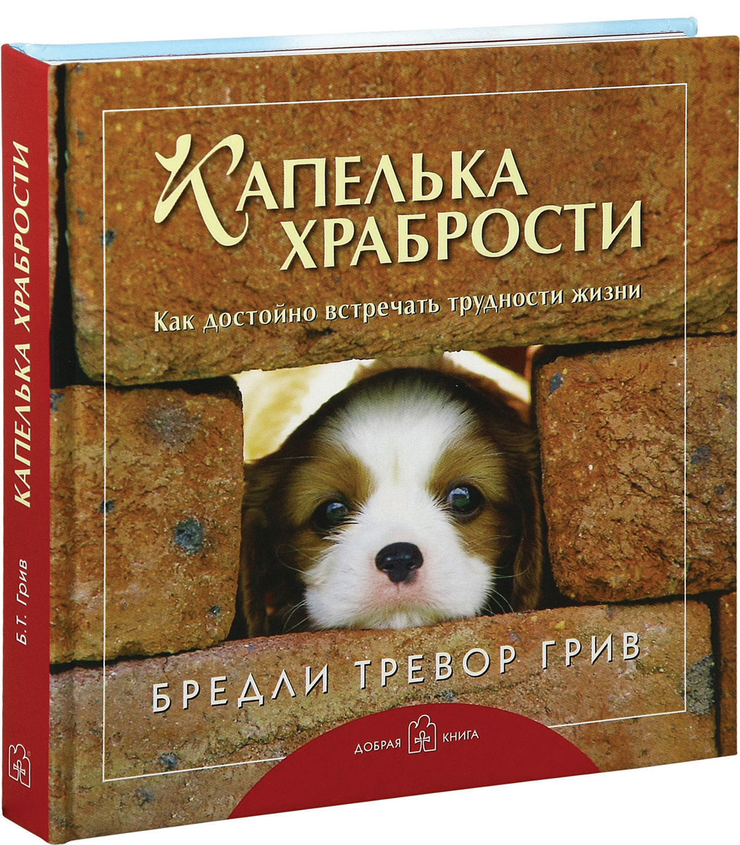 Капелька храбрости. Как достойно встречать трудности жизни. Бредли Тревор Грив