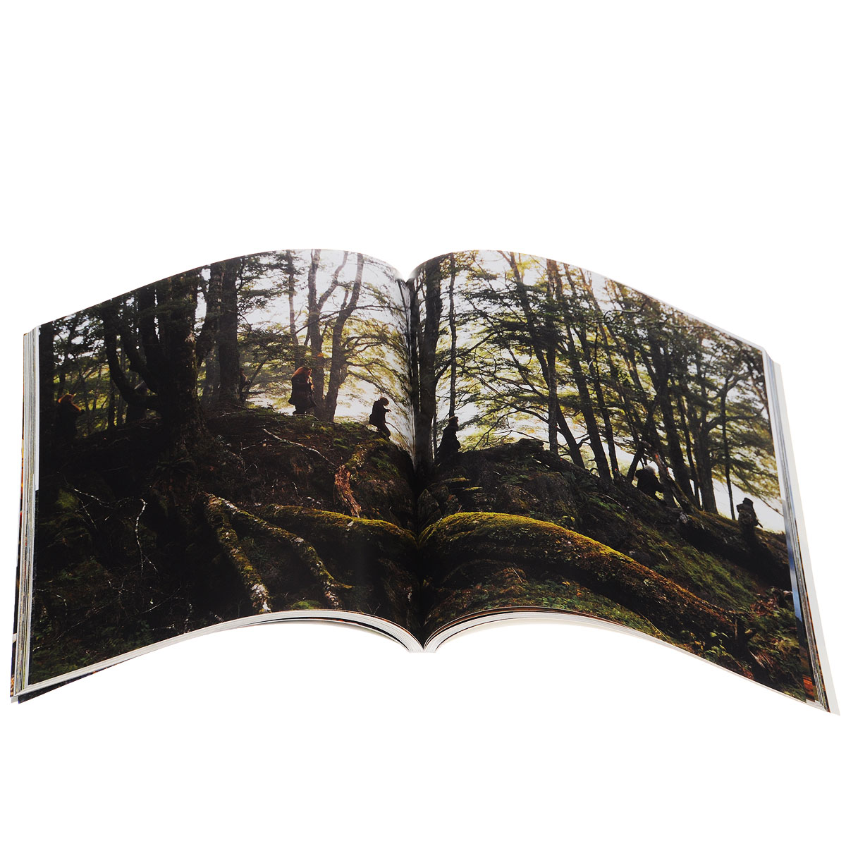 фото The Hobbit: Motion Picture Trilogy: Location Guidebook Harpercollins