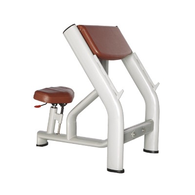 фото Скамья Скотта Bronze Gym H-040A