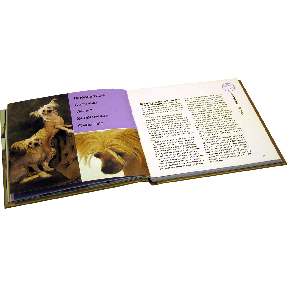 Собака астрология. Собака и тайны книга. Книга собачья мудрость. Наши лучшие книги о собаках комплект из 4 книг.