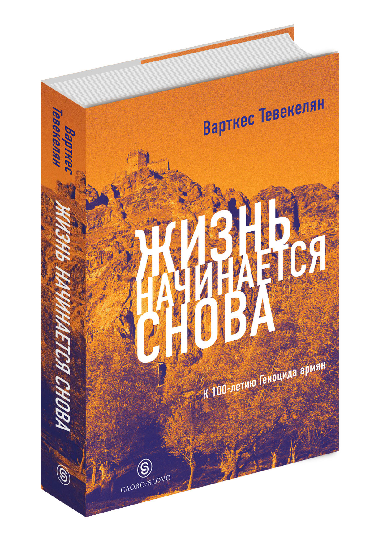 Жизненные книги. Книга жизни. Варткес Тевекелян. Название для книги про жизнь. Книжка про жизнь.