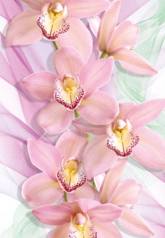 фото Фотообои Твоя Планета Премиум "Орхидеи" 194 х 136 см, 4 листа