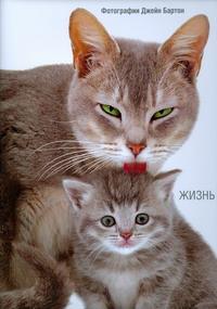 Жизнь кошек. Джейн Бартон