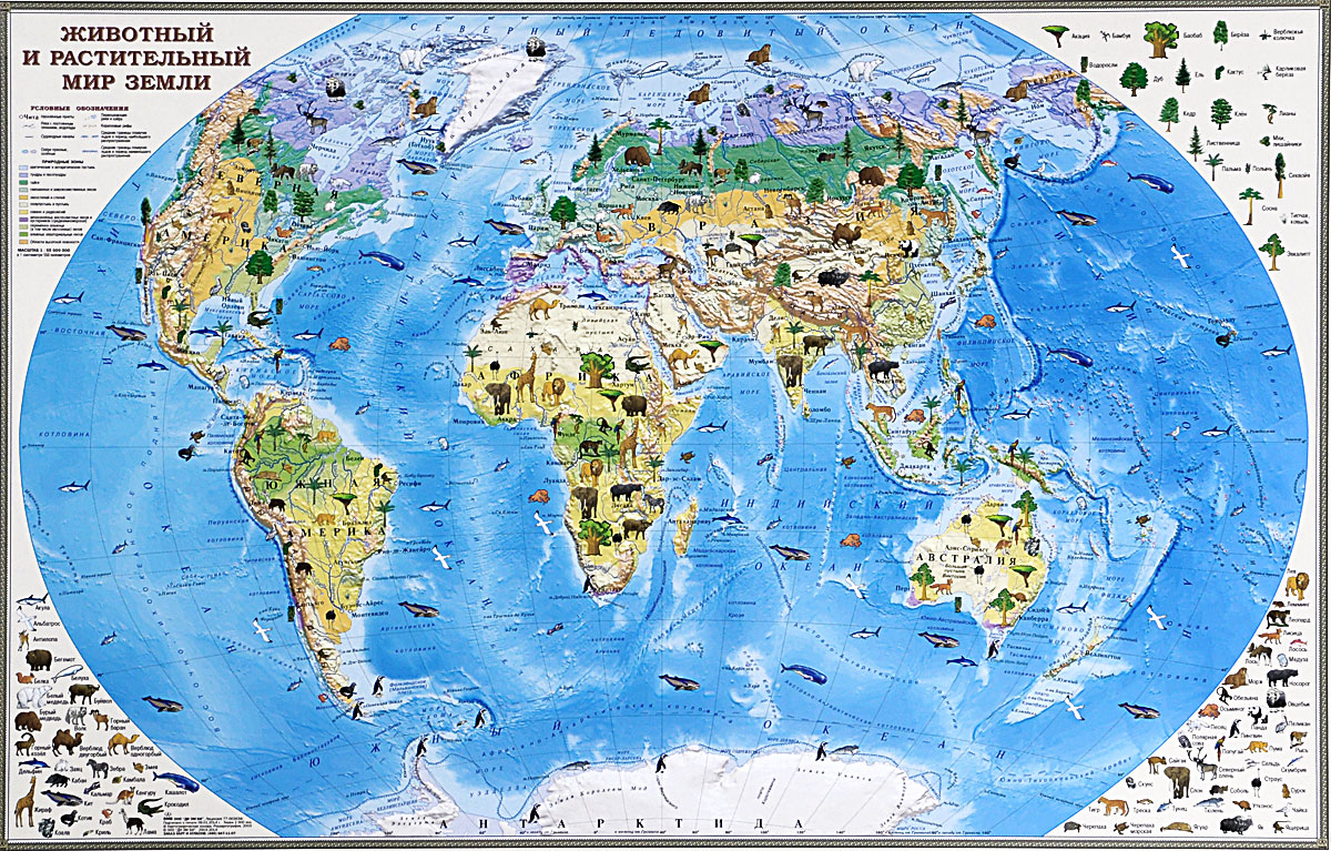 Настенная карта мир в тубусе. Карта животный мир земли. Животный и растительный мир карта. Карта животный мир земли. Карта животный мир земли.