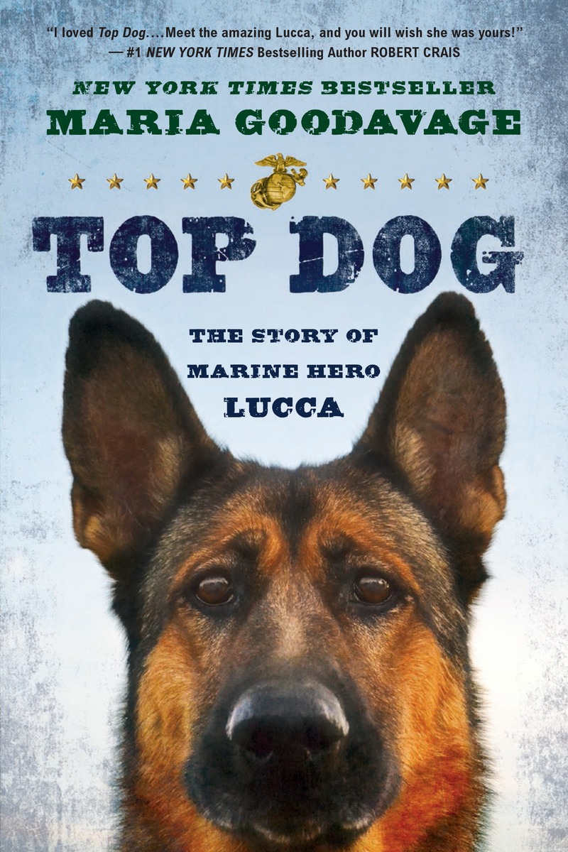 Книги про собак. Собаки на войне книги. Top Dog книга. Книга Нью Йорк the Dog.