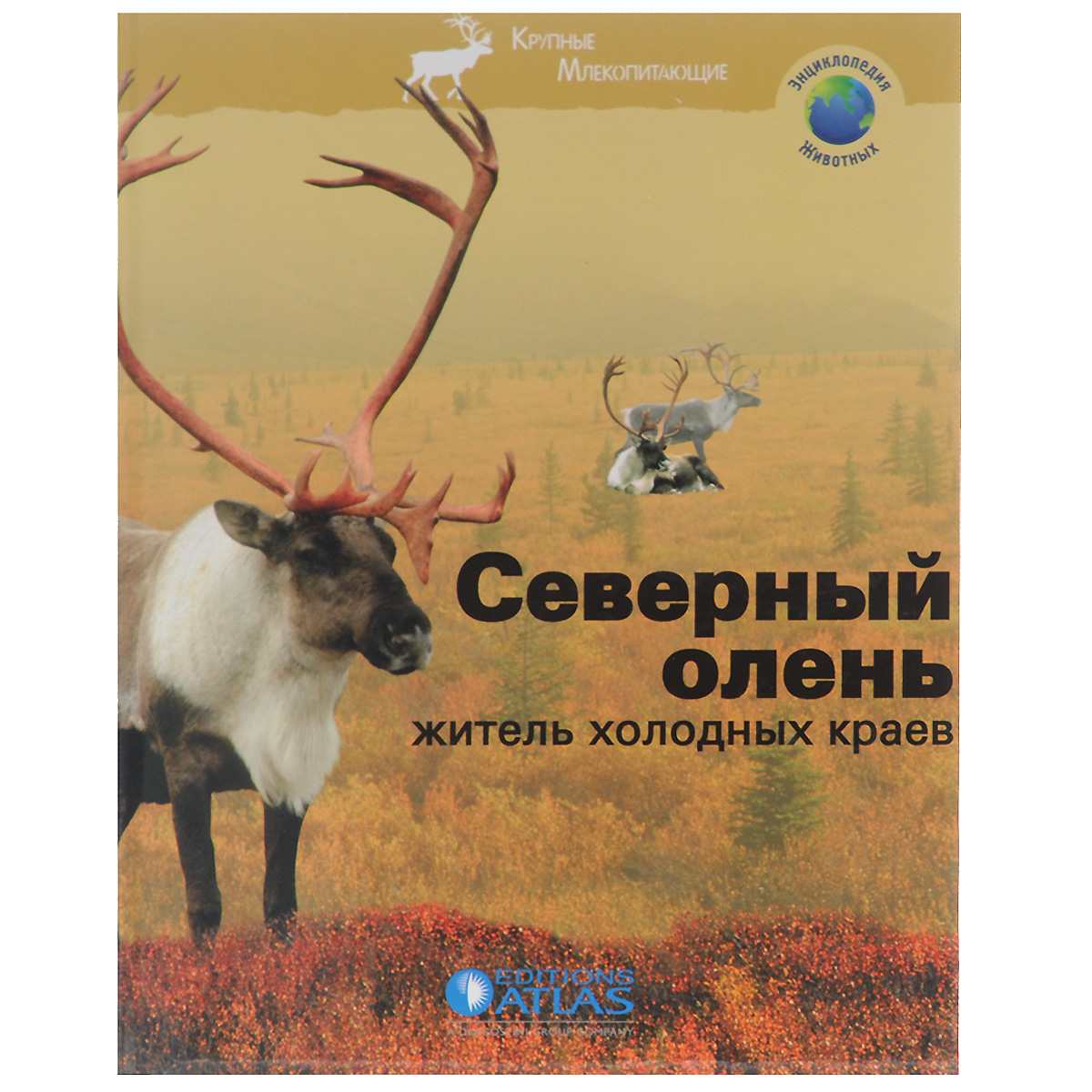 Книга северный. Книга Северный олень житель холодных краев. Книги про оленей для детей. Энциклопедия про оленя. Книги про Северного оленя.