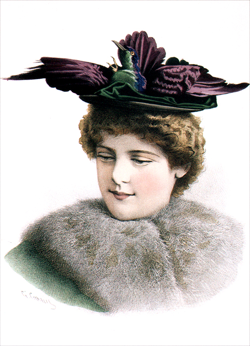 фото Дамские шляпки. 1894 (набор из 15 открыток)