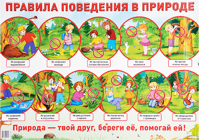 все цены на Правила поведения в природе. Плакат онлайн