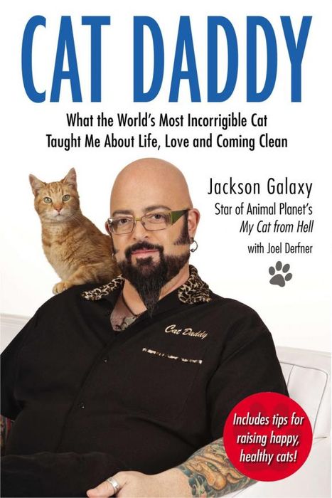 Cat Daddy | Galaxy Jackson 