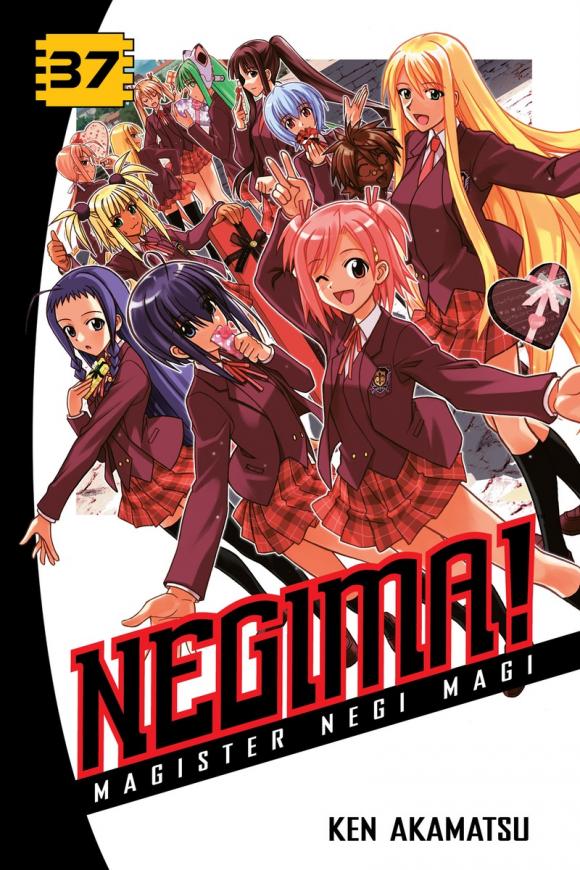 фото Negima! 37 Kodansha comics