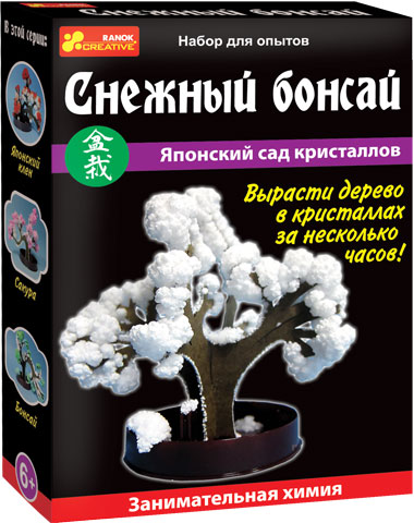 фото Набор для исследований Ranok "Японский сад кристаллов: Снежный бонсай"