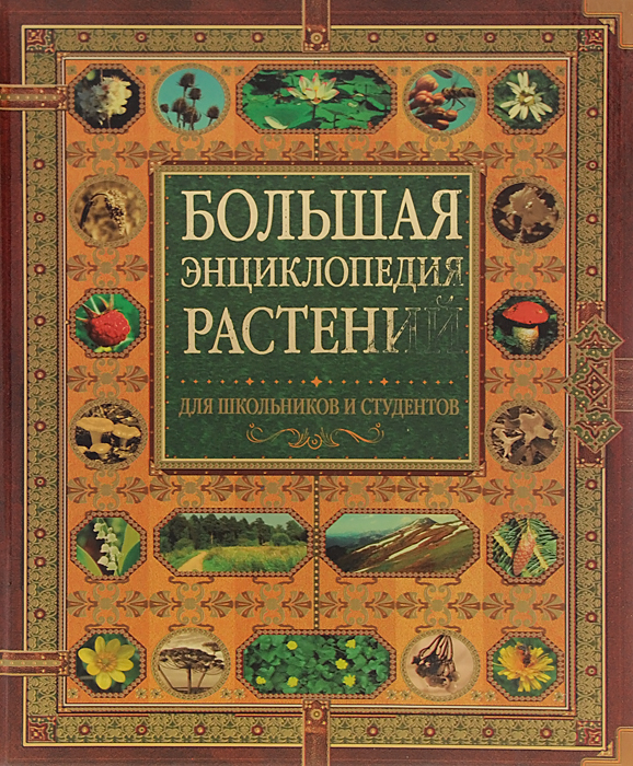 Энциклопедия растений. Большая энциклопедия растений для школьников и студентов. Большая энциклопедия растений. Растения. Энциклопедия. Книгу большая растений энциклопедия.