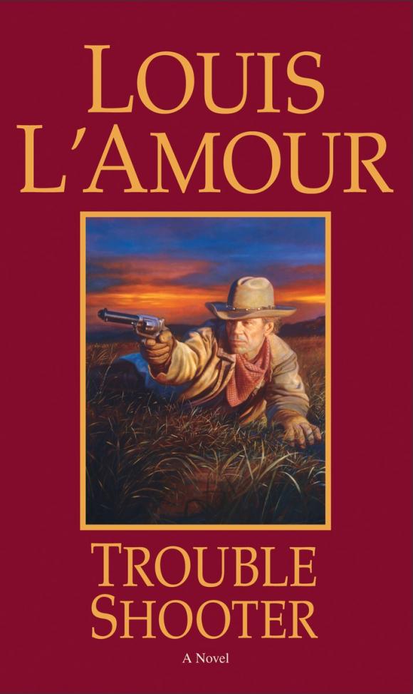 Trouble shoot. Трабл шутер. Books:the Trouble with Guns