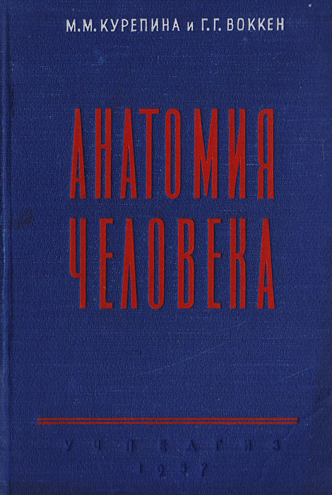 Атлас Анатомии Человека Курепина Воккен Купить