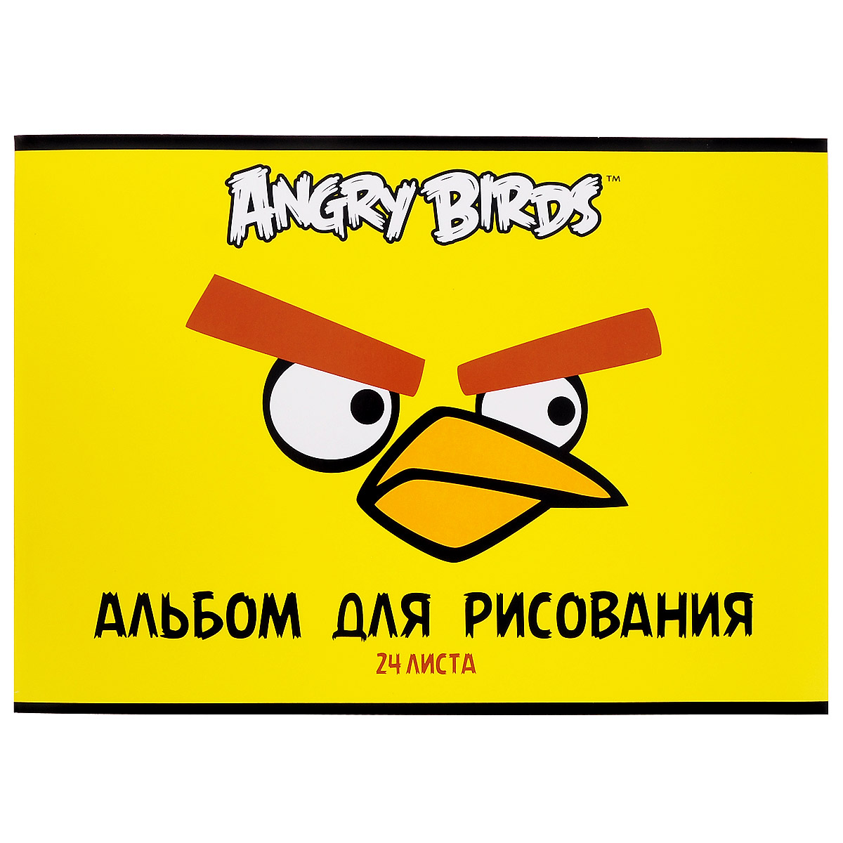 Альбом для рисования 24 листа Angry Birds