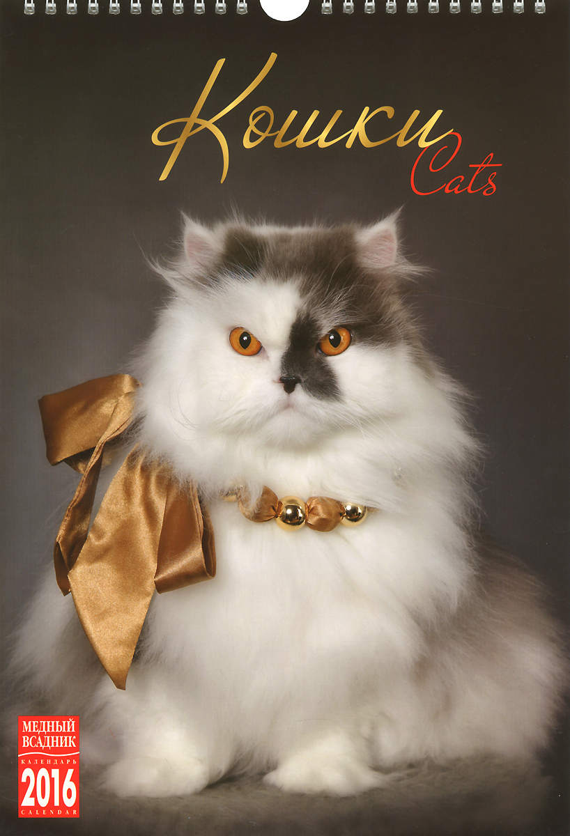 Cats calendar. Календарь породы кошек. Календарь 2016 года с кошками.