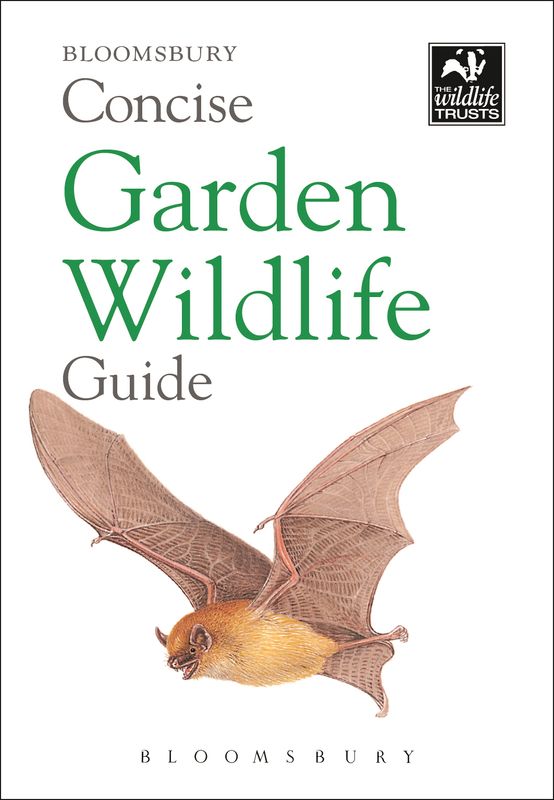 Wildlife garden. Friendly to wildlife. Wildlife garden. Rhs let's get gardening. Jungle ultimate sticker book.