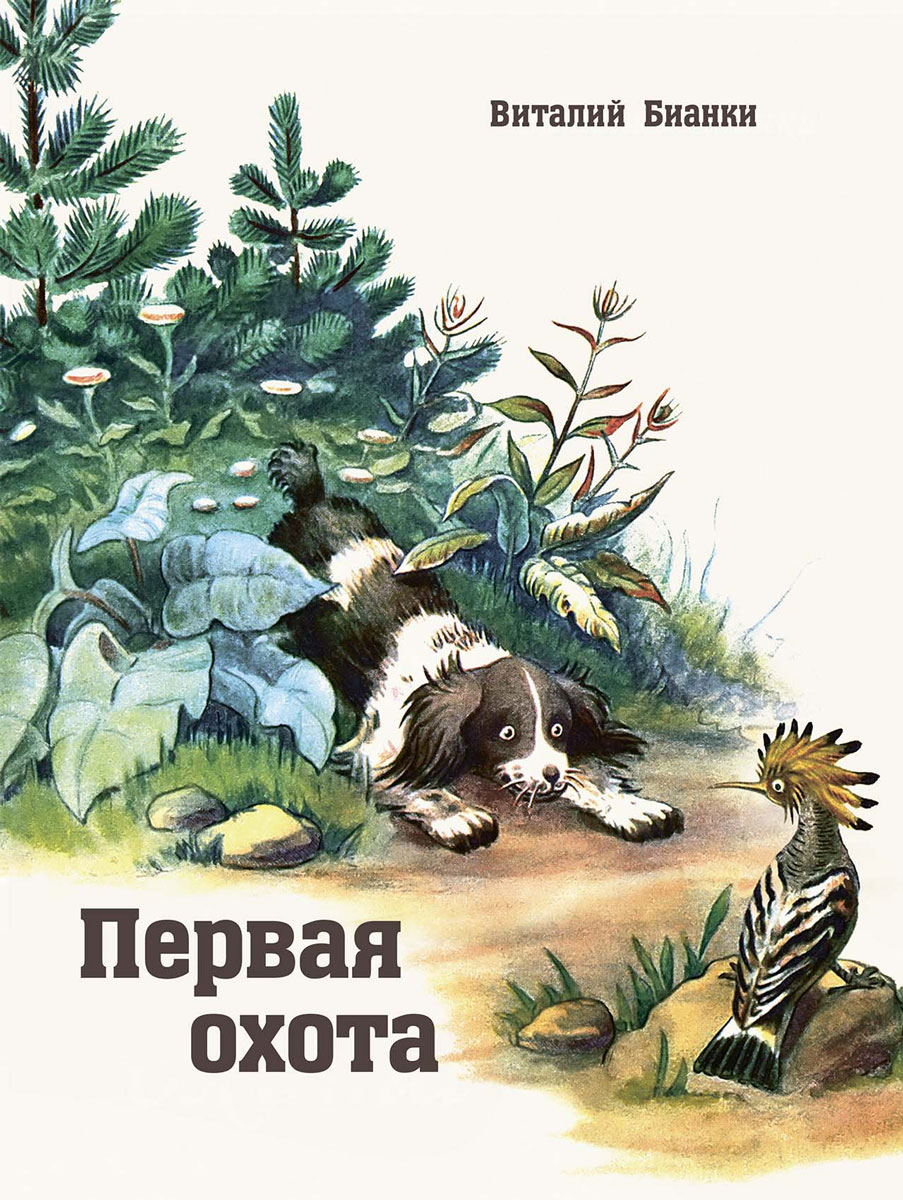 Первая охота иллюстрации чарушина. Первая охота автор бианки. Рассказ виталия бианки 1 охота. Кто написал рассказ охота. Первая охота книга.