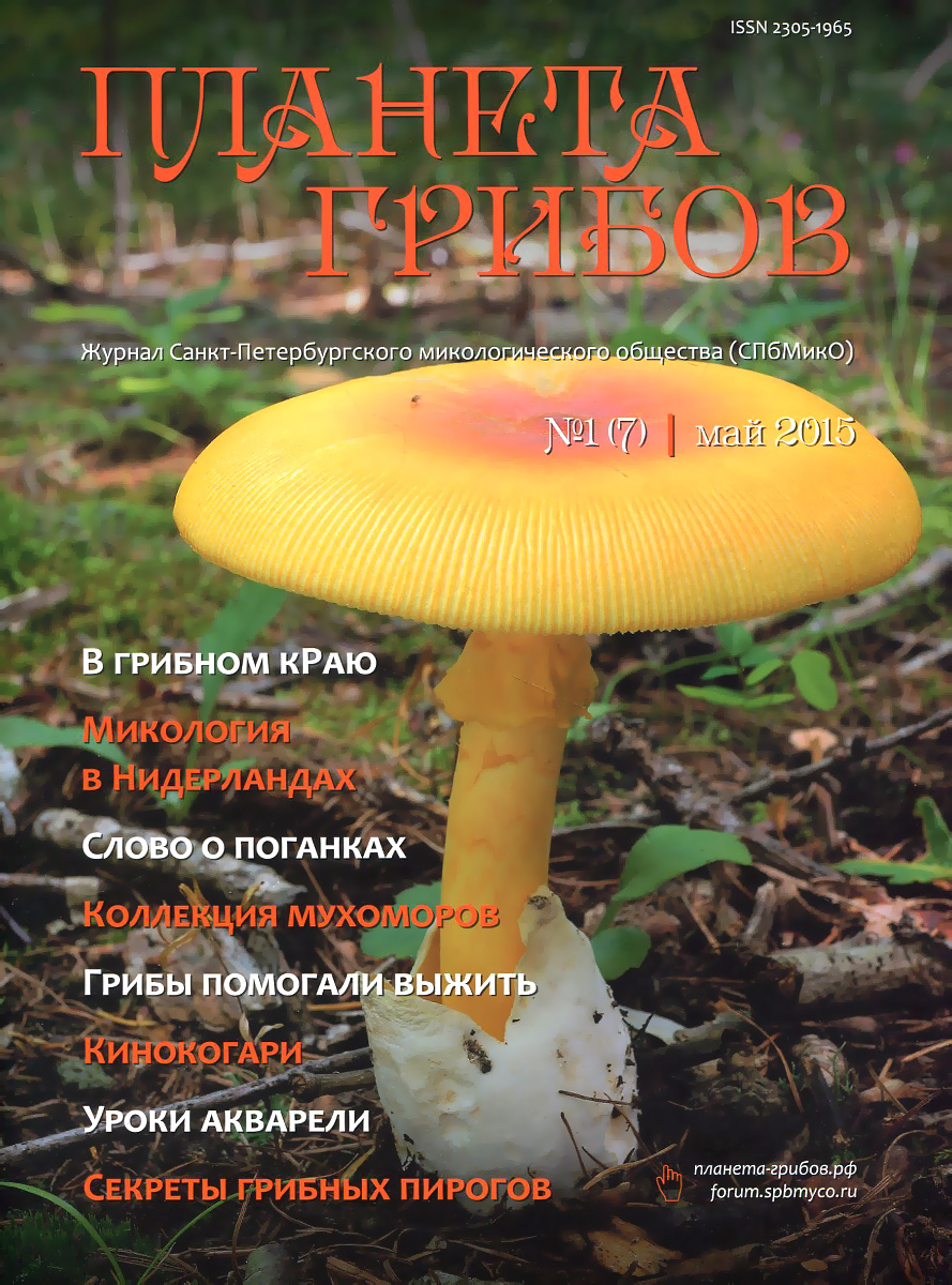 Журнал про грибы